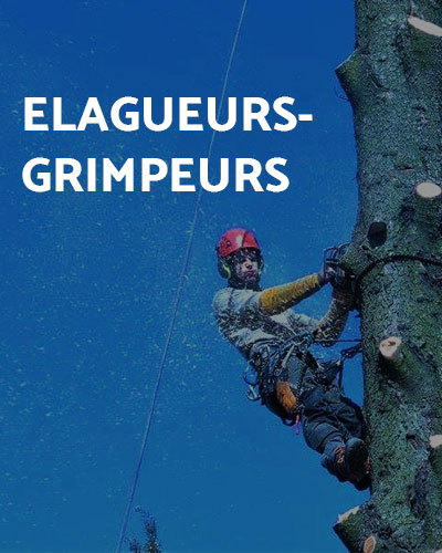 elagueurs-grimpeurs